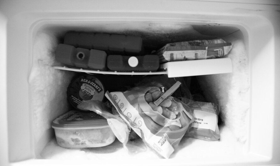 Szron w zamrażarce No Frost – czy to normalne? Co zrobić?