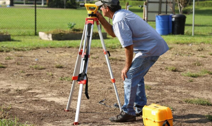 Skuteczne sposoby na pozbycie się mrówek z działki – domowe i ekologiczne metody