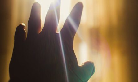 Rytm dobowy a doświetlenie poddasza: Jak kąt padania światła wpływa na poziom kortyzolu i melatoniny?