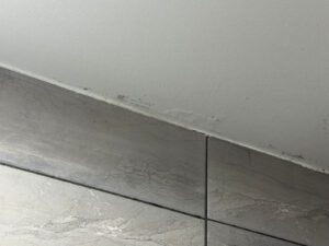 Czy pleśń wraca po usunięciu? Dlaczego domowe sposoby nie działają długoterminowo