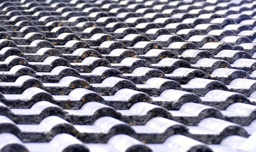 Mech na dachówce betonowej – jak się go pozbyć? Skąd się bierze?
