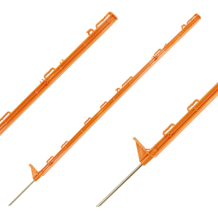 pomaranczowy_01_800x800.png